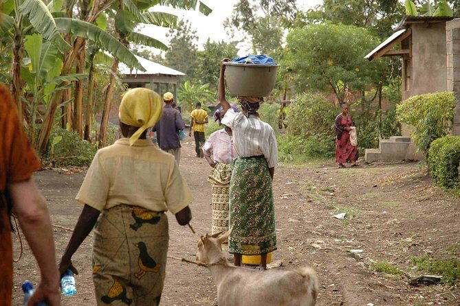 Coffee walk day trip - Who Should Book This Coffee Walk (and Who Should Rethink It)