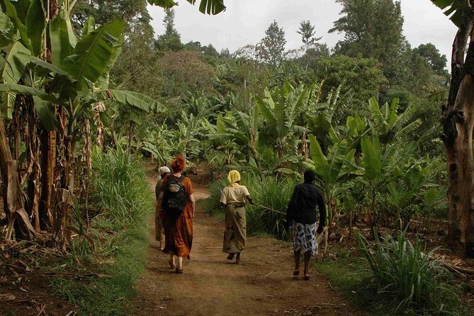 Coffee walk with stay in the village - What “organic and Fairtrade” means for farmers and for you