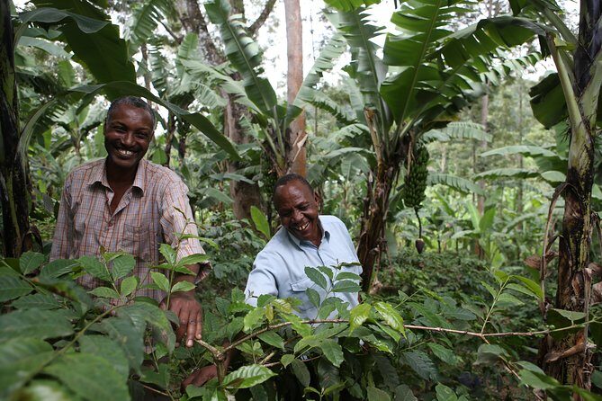 Coffee walk with stay in the village - Day 2 coffee walk: village sights, organic farming, then roaster time