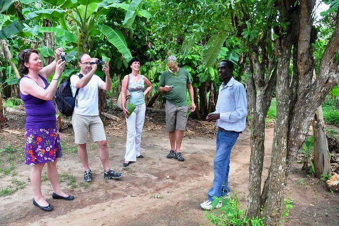 Come and taste the Zanzibar feelings - Price and Value: $56.42 for Lunch + Transportation + a Guide