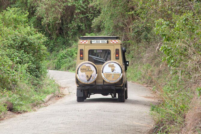 Common 5 Days Tanzania Serengeti Big 5 Private Safari | BURIGI CHATO SAFARIS - Meals and overnight quality: what the included plan really buys you