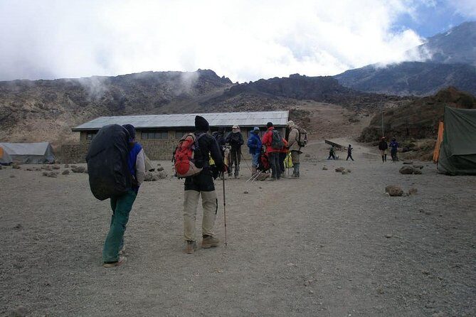 Conquer Kilimanjaro: 5-Day Marangu Route Adventure - The guide, porters, and cook: how the team shapes your experience