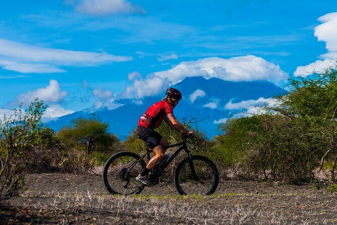 Cycling from Kilimanjaro to Ngorongoro Crater - Who should book this, and who should skip it