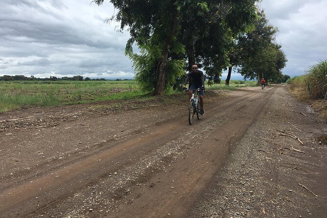 Cycling through the TPC plantations - The ride route: from Moshi to the plantation countryside