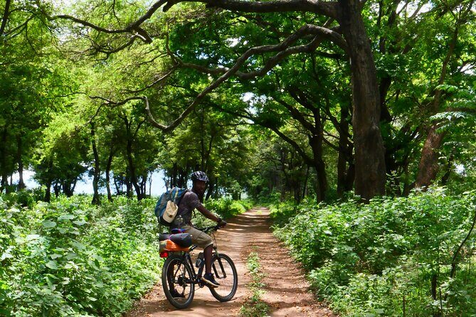Cycling through the TPC plantations - Bikes, small-group energy, and why $66.67 can make sense