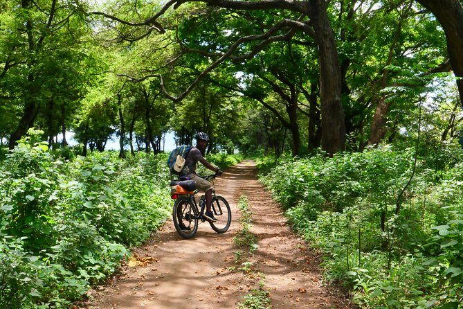 Cycling through the TPC plantations - Who this tour is best for