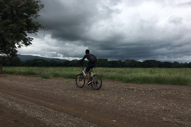 Cycling through the TPC plantations - Your guide matters more than you’d think
