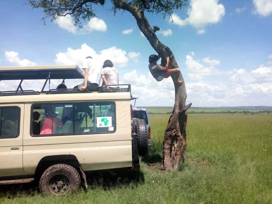 Dar el Salam: Full-Day Mikumi National Park Tour - English guide help: learning while you search