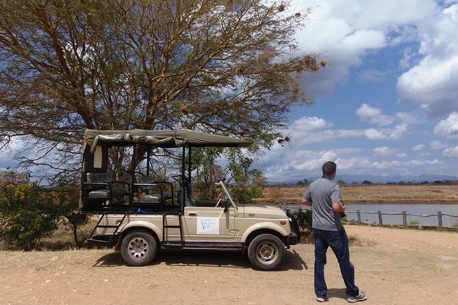 Dar Es Salaam: Day Trip Safari to Mikumi National Park by Train - The Afternoon Drive: Little Serengeti, Floodplain, and Hippo Pools