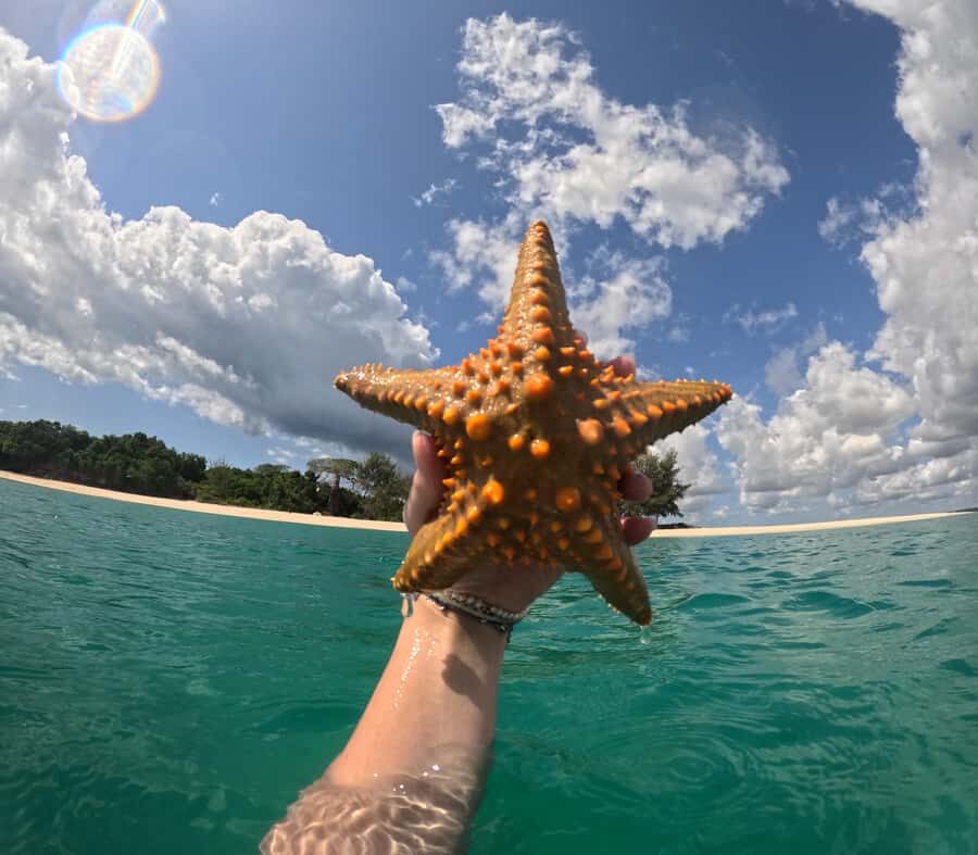 DAR ES SALAAM:BONGOYO ISLAND SNORKELING TOUR & BEACH ESCAPE - Beach Escape With Bandas: Shade, Sand, and Small Decisions That Matter