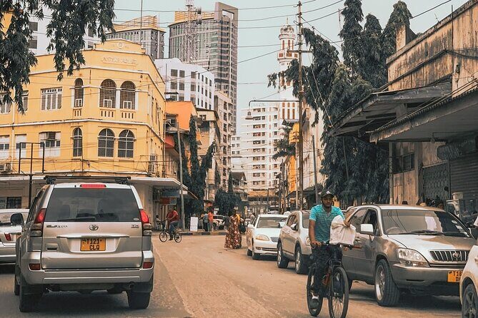 Daressalaam city sightseeing private tour - Hotel or port pickup in Dar es Salaam: where the tour starts
