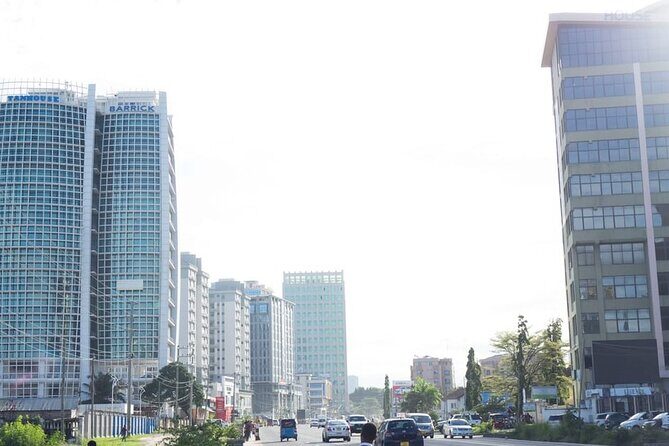 Daressalaam city sightseeing private tour - Price and value: why $175 per person can make sense