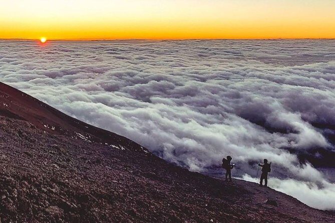 Day Hike to Mount Kilimanjaro (Mandara Hut) - The Guide Factor: Entertaining, Encouraging, and Photo-Helpful