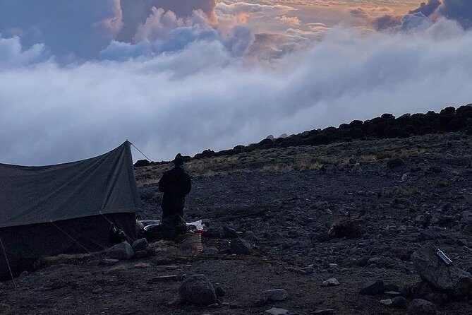Day Hike to Mount Kilimanjaro (Mandara Hut) - Time on the Clock: How a 6–7 Hour Day Fits Real Schedules