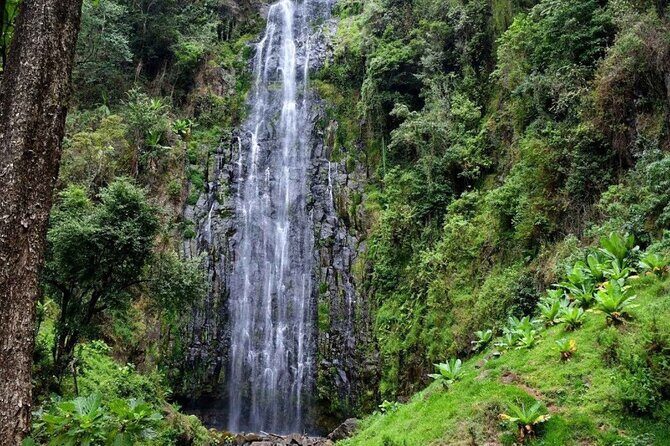 Day trip Materuni watsrfalls and chemka hotsprings tour - Key things I’d highlight before you go