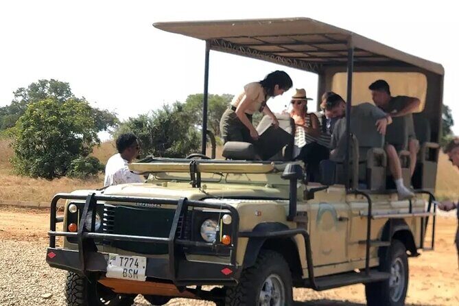 Day Trip Safari to Mikumi National Park - Communication and language: confirm what you expect