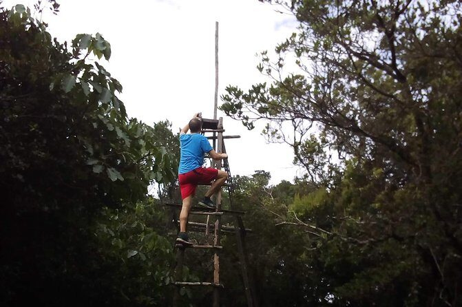 Day Trip To Lupanga Peak - Why Lupanga Peak in the Uluguru Mountains is worth your early start