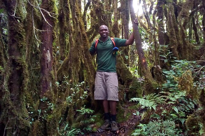 Day Trip To Lupanga Peak - Forest permit, guiding fee, and why this matters on a steep ridge trail