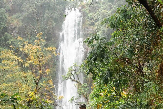 Day trip to Materuni waterfall, Coffee tour and Moshi Nightlife - Price and Value: Does $70 Feel Fair for 17 Hours?