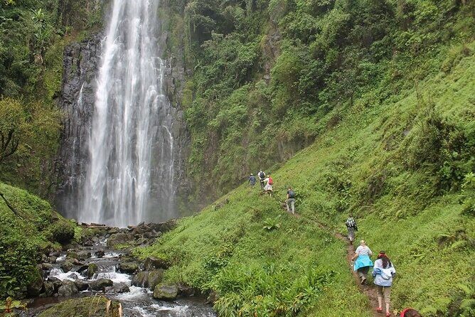 Day Trip To Materuni Waterfalls - Walking into Materuni: coffee farms, fruit trees, and wildlife odds