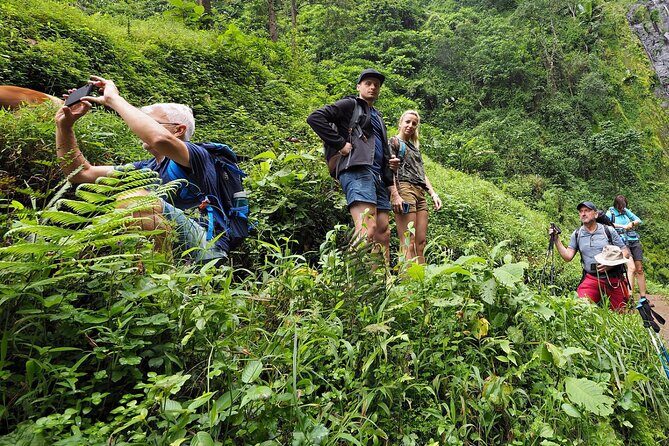 Day Trip To Materuni Waterfalls - Coffee from scratch: from bean to cup, with your own hands