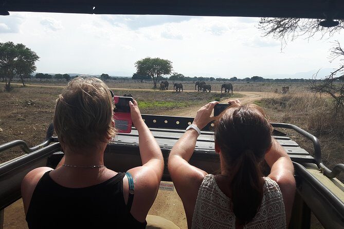 Day trip to Mikumi National Park from Dar es salaam - Key Things That Make This Mikumi Day Trip Work