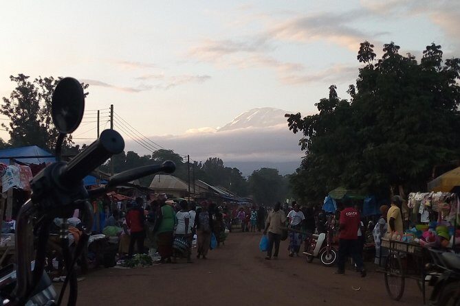Day trip to mount Kilimanjaro - Why this one-day Mt Kilimanjaro trek from Moshi is a smart “starter”