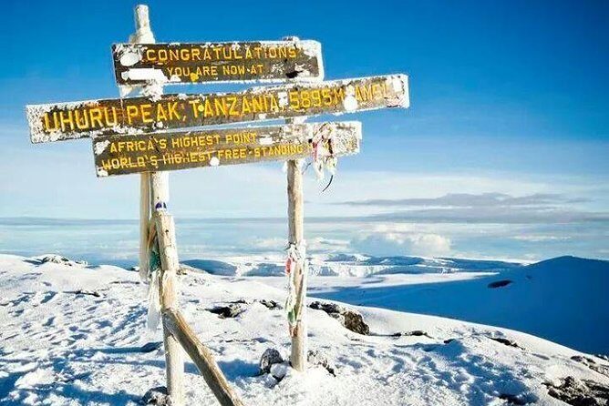 Day trip to mount Kilimanjaro - Price and value: what $250 buys on a one-day Kilimanjaro taste