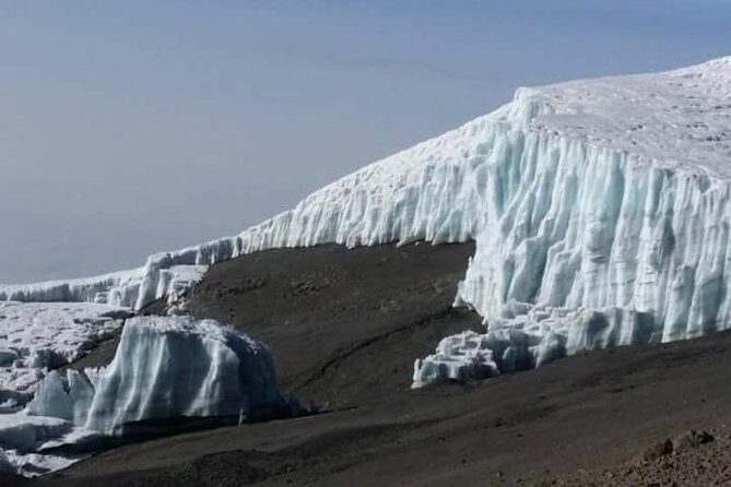 Day trip to mount Kilimanjaro - Transportation from Moshi: fewer logistics, more hiking time