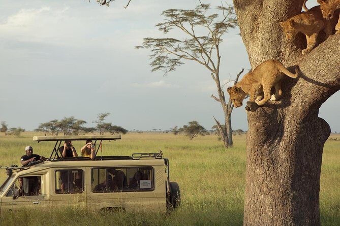 Day Trip to Ngorongoro Crater - Ngorongoro Crater safari from Arusha: what makes this day trip special