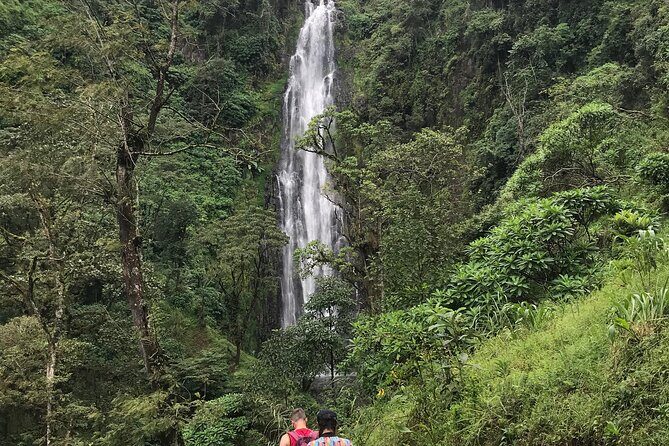 DayTour to Materuni Waterfalls with Coffee & Hotsprings Excursion - Key things to love about this Materuni + coffee + hot springs day