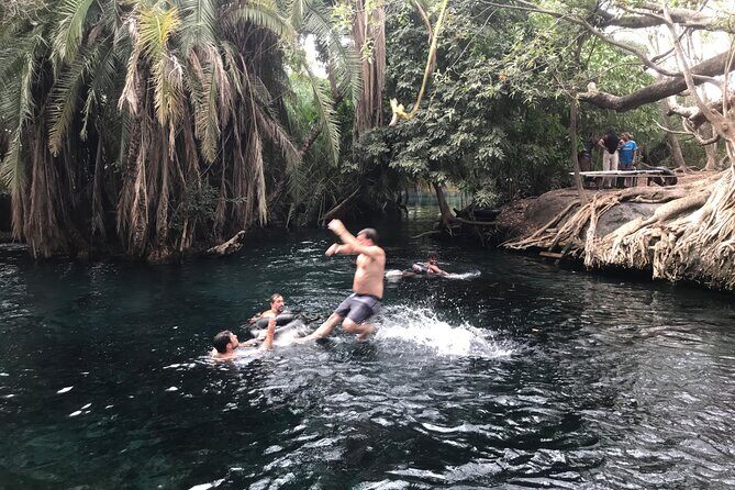 DayTour to Materuni Waterfalls with Coffee & Hotsprings Excursion - Kilimanjaro on clear days: how to treat the view chance