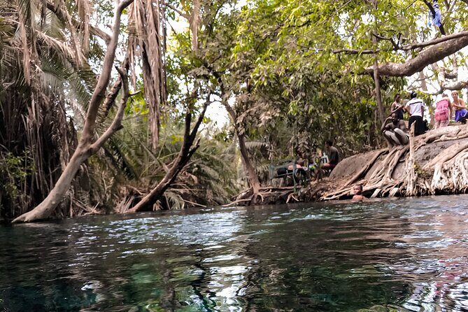DayTour to Materuni Waterfalls with Coffee & Hotsprings Excursion - Materuni Waterfalls: banana farms, Chaga culture, and a guided trail