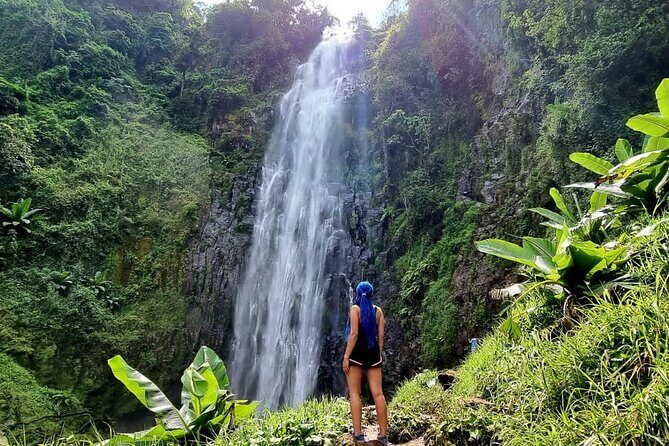 Discover Nature and Culture of Materuni Waterfall & Coffee Tour - Materuni Waterfall hike: the short trek that delivers big views
