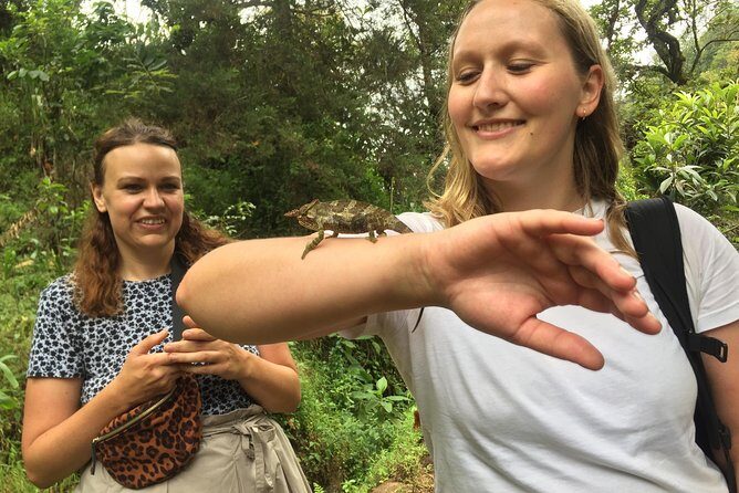 Discover Nature and Culture of Materuni Waterfall & Coffee Tour - Chagga village coffee experience: what you learn matters
