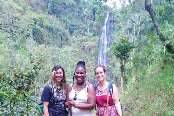 Discover Nature and Culture of Materuni Waterfall & Coffee Tour - Price and value: is $50 a fair deal?
