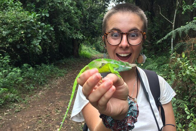 Discover Nature and Culture of Materuni Waterfall & Coffee Tour - What the lunch and bottled water really do for your day