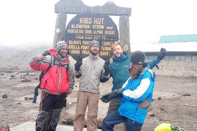 Discover Our Latest 6 Days Climbing Kilimanjaro - Marangu Route - Mandara Hut to Horombo: rainforest fades into open moorland
