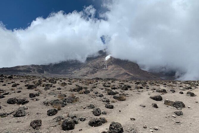 Discover Our Latest 6 Days Climbing Kilimanjaro - Marangu Route - Horombo acclimatization day: the walk that helps your body learn