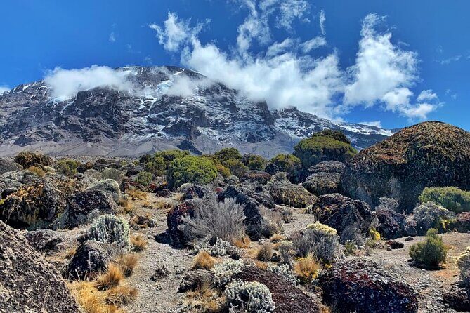 Discover Our Latest 6 Days Climbing Kilimanjaro - Marangu Route - Downhill to Marangu Gate: recover, breathe, and let gravity help