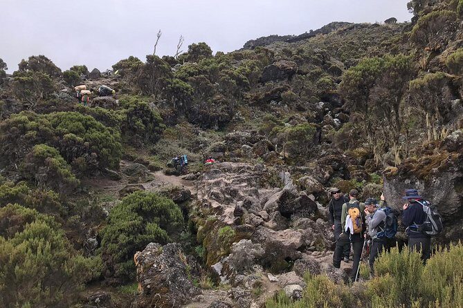 Discover The Best 7-day Kilimanjaro climbing via Machame route - Day-by-Day on Machame: What Each Camp Stage Really Does for You