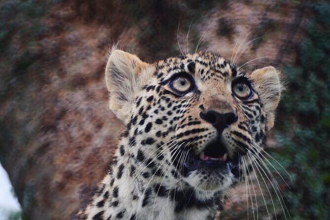 Discover the group joining for 5-day Tanzania safari in 2025 - What’s included (and why it matters on a budget camping safari)