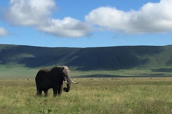 Discover The World's Top Best 4-day Tanzania Group Camping safari - Which parks you’ll actually cover: what’s promised vs what’s scheduled