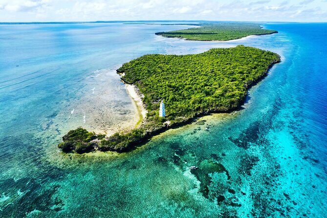Dolphin and Tumbatu Island Snorkeling Tour with Pickup - Key Highlights You’ll Feel Immediately