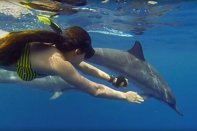 Dolphin and Tumbatu Island Snorkeling Tour with Pickup - Gear, Boat Time, and Why the Crew Names Matter
