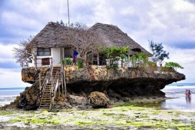 Dolphin tour, Jozani Forest, Jambiani Kuza Cave, Paje Beach &The Rock restaurent - Mnemba dolphin spotting cruise near Matemwe: magic chance, real safety checks