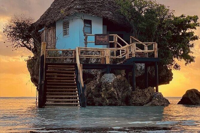 Dolphin Tour; Kuza Cave Tour; Paje Beach; The Rock Restaurant; Jozani Forest - Kuza Cave: mineral pool, monkeys, and Swahili culture in one hour