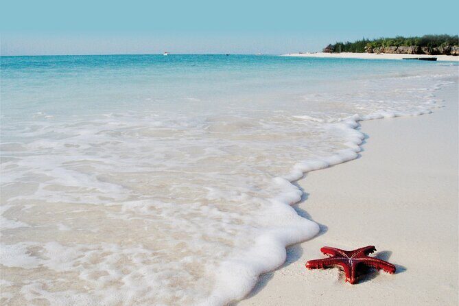 Dolphin Tour; Kuza Cave Tour; Paje Beach; The Rock Restaurant; Jozani Forest - Price and value: is $128 per person a fair deal?