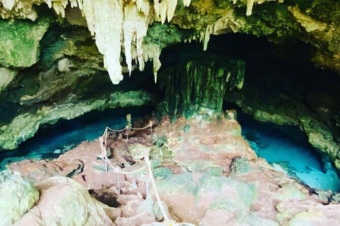 Dolphin Tour; Kuza Cave Tour; Paje Beach; The Rock Restaurant; Jozani Forest - Who should book this Zanzibar tour, and who should skip it