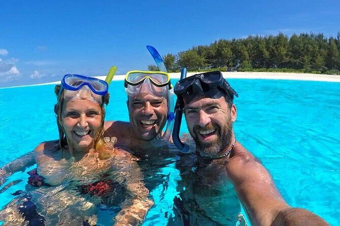Dolphin Tour & Snorkeling at Mnemba Island - Mnemba Island Dolphins and Reef: Why This 3–4 Hour Mix Works